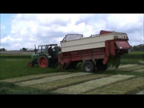 Landb. Staes Kris - Reninge