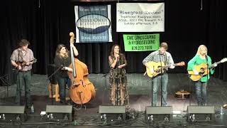 The Alecia Nugent Band - The Last Greyhound