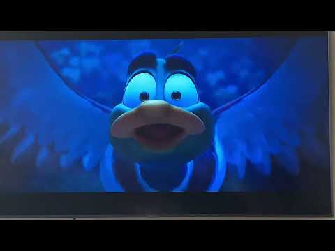 Migration 2023 Mac does want to go on their migration vacation high tone