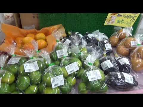 恵泉物語：福島フィールドワーク2017