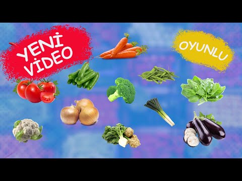 🍅 🥕 SEBZELERİ ÖĞRENİYORUZ  | Çocuklar İçin - Okul Öncesi Eğitim