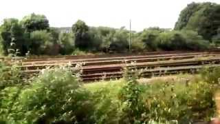 Ozric Tentacles ~ Train Oasis