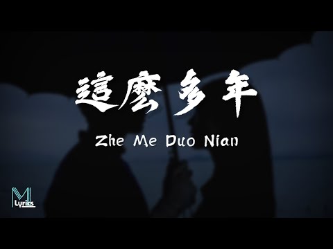 Chen Hua (陳華) - Zhe Me Duo Nian (這麼多年) Lyrics 歌词 Pinyin/English Translation (動態歌詞)