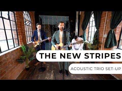The New Stripes - Acoustic