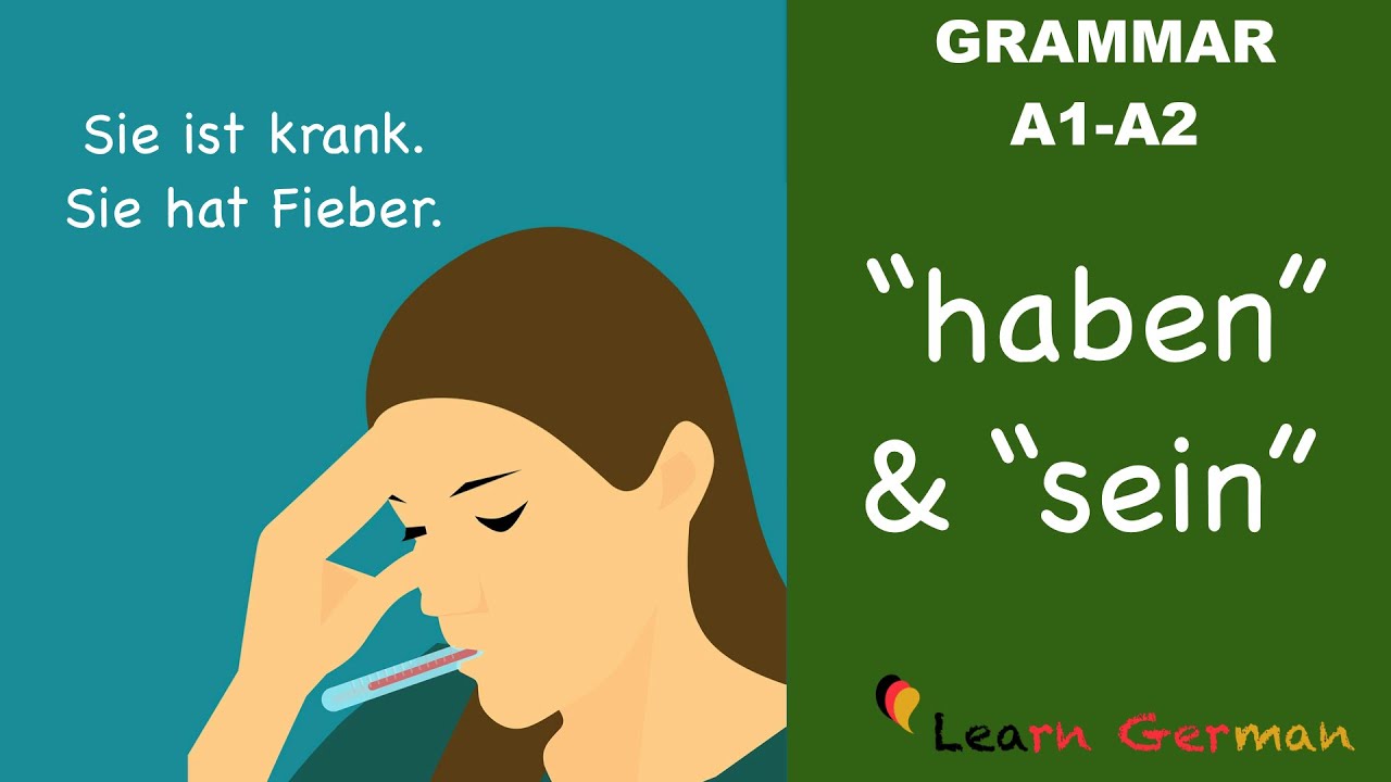 Learn German | German Grammar | haben und sein als Vollverb | A1