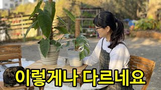수제 토분을 진심으로 만들면 이렇게 됩니다