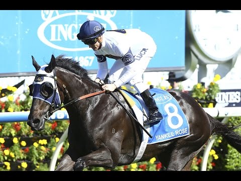 Yankee Rose wins Group 1 Inglis Sires - Highlights