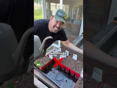 Seed Starting Myths Debunked!