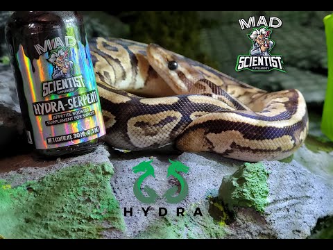 DIY Misting System for reptiles