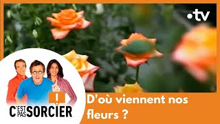 D'où viennent nos fleurs ? - C'est pas sorcier [Intégrale]