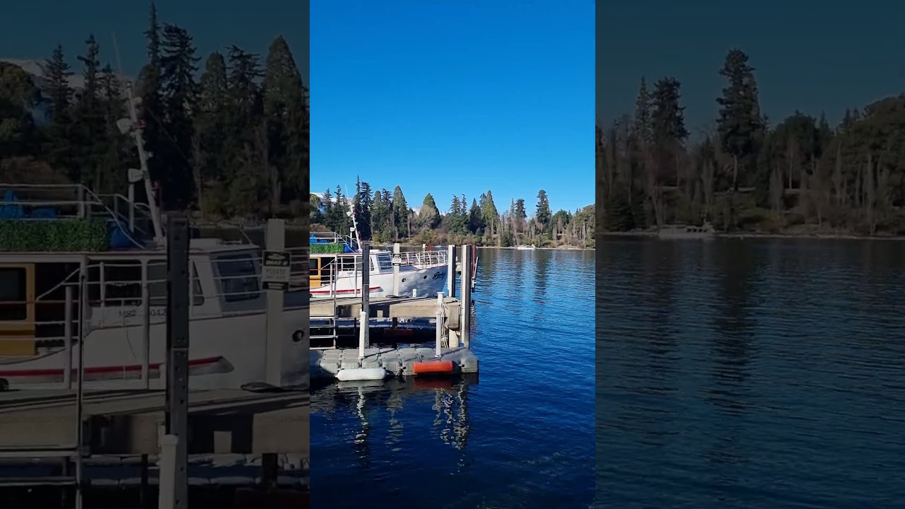 YouTube Short thumbnail