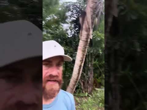 Kamp Kenan Army Live: Outdoor Camping & Military Survival Tips
