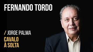 Cavalo À Solta Lyrics English Translation