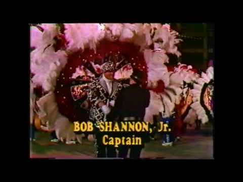 1982 Quaker City String Band "Pearlies, Plumes, and Poppins" - 2nd Place