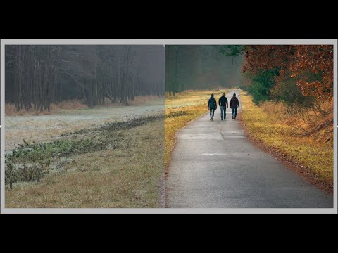 Darktable Episode 44: How to deal with the colors in the darktable part three