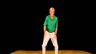 The Cholulas &#39;Hey Driver&#39;