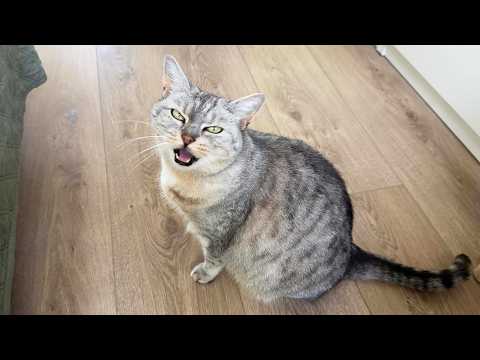 YouTube 썸네일