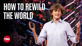 3 Tips to Make Your World Beautifully Wild | Isabella Tree | TED
