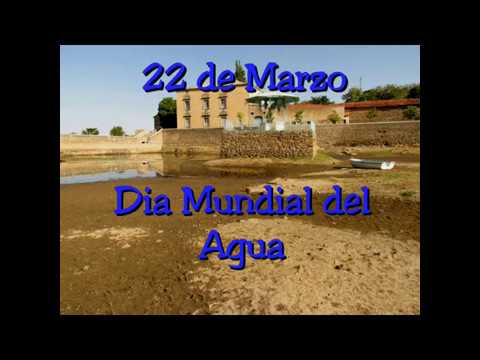 La salmantina Amalia Iglesias logra una beca de la Fundación Villalar por su proyecto ‘Leer da...