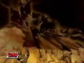Big Show 16th Titantron 2006 2007 Entrance Video