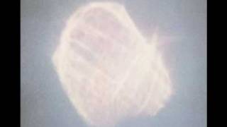 Benoit Pioulard - Golden Grin