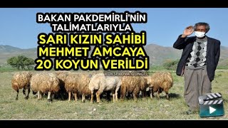 Bakan Pakdemirli’nin Talimatlarıyla Sarı Kızın Sahibi Mehmet Amcaya 20 Koyun Verildi - Yüksekova 