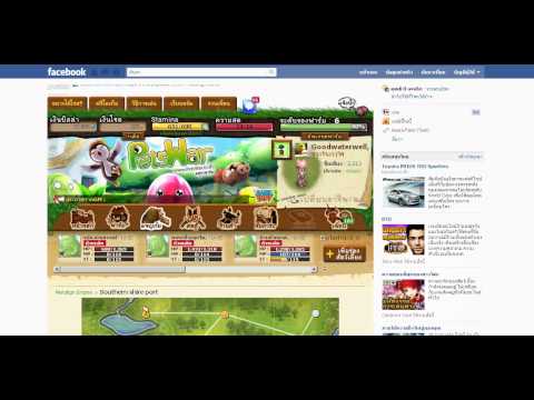 การเลื่อนสุดแปลก ของPetsWar