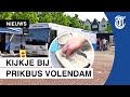Lage vaccinatiegraad Volendam: ‘Eigenwijs van huis uit’