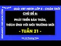 Vở bài tập Hoạt động trải nghiệm Lớp 5 Tuần 21 - Trang 42, 43, 44