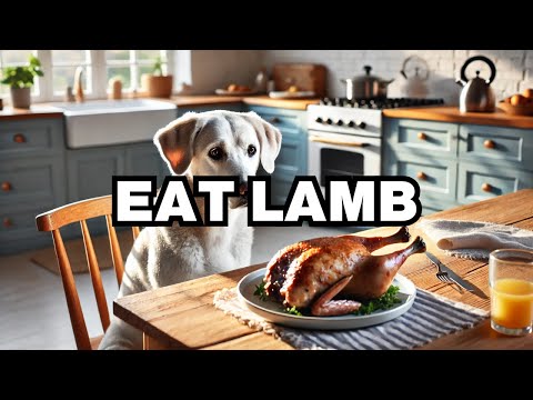 Can Dogs Eat Lamb? Explained