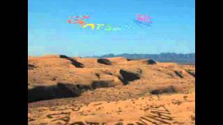 Plants and Animals - Tom Cruz