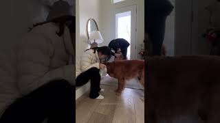 Morning Vlog 6:30AM - 9:15AM with Two Dogs #shorts #morningroutine #vlog