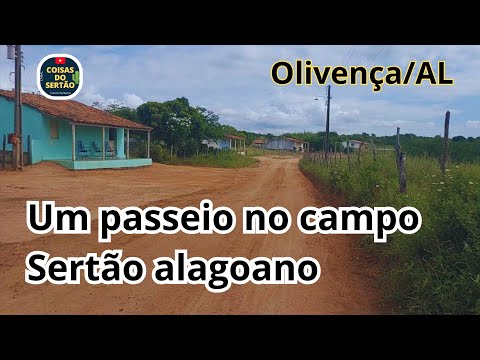 Estradas de Olivença/Alagoas || Que localidade é essa?