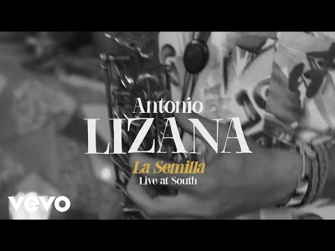 Antonio Lizana - La Semilla (Directo)