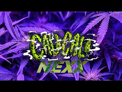 NEXX - CALI CALI