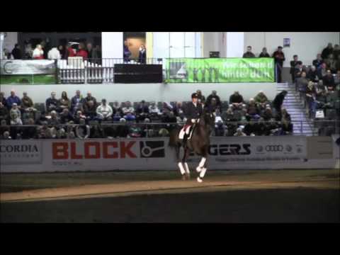 Livaldon HV Verden 2017