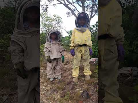 #ariysuschicuelos #familia Beekeeper siempre activos en pro de la vida. Monterrey Casanare Colombia