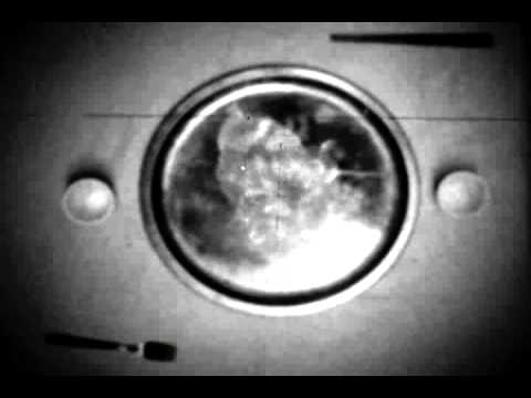 L'incapacità di comunicare? n.3