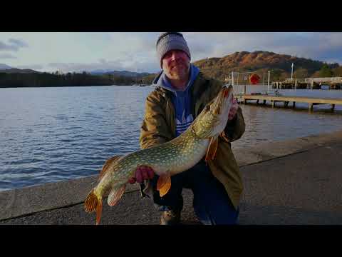 Lake Windermere pike fishing.