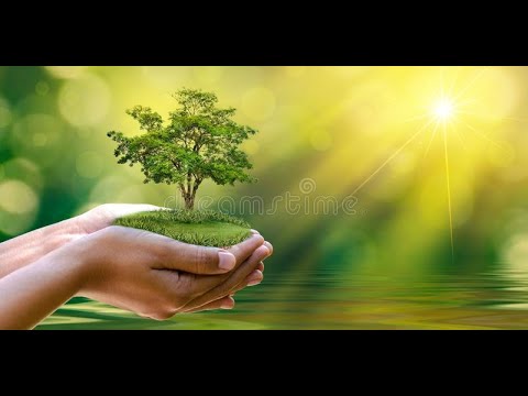 Nature's Healing 2022