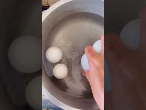 How to boil duck eggs❤️❤️❤️❤️😘😘😘
