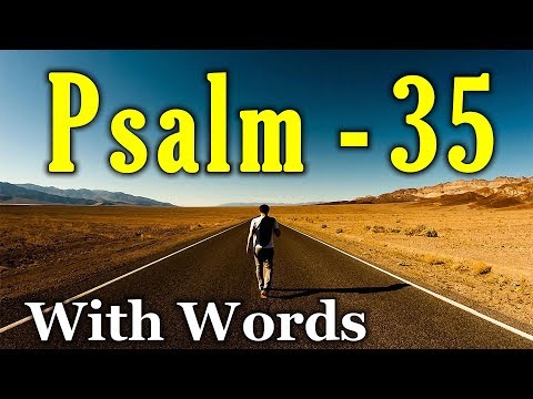 Psalm 35 Reading: Seeking Comfort in Prayer (With words - KJV)