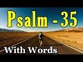 Psalm 35 Reading: Seeking Comfort in Prayer (With words - KJV)