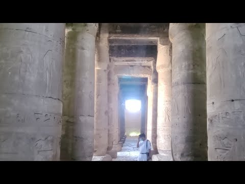 Live From Temple Of Seti I