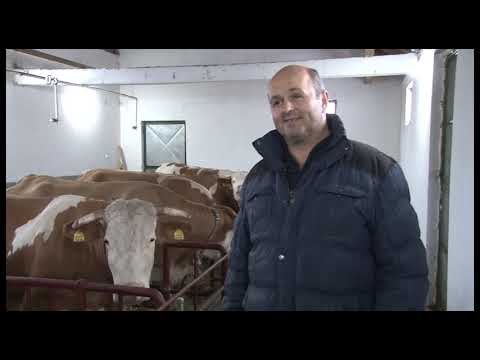 Bolja zemlja - 13.01.2019.