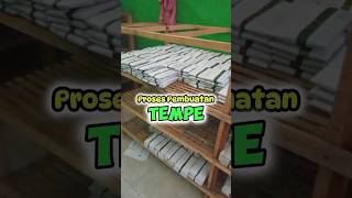 Download lagu TEMPE MAKING PROCESS #rianitv #tempe #tempefactory mp3 Download lagu TEMPE MAKING PROCESS #rianitv #tempe #tempefactory mp3