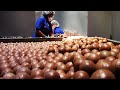 World Most Expensive Nuts Macadamia Cultivation Technology Macadamia Nuts Harvest And Process