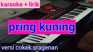 Download lagu karaoke pring kuning sragenan#pring kuning tanpa vokal mp3