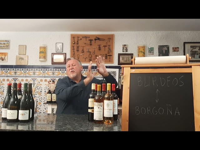 Vídeo relacionado con Baron de Lestac - DOP Bordeaux - Vino Tinto - Terra Vitis - 6 botellas x 75 cl