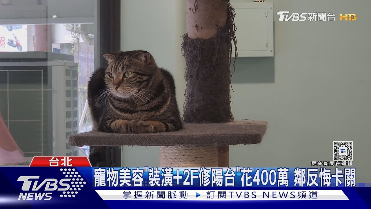 寵物美容「裝潢+2F修陽台」花400萬 鄰反悔卡關